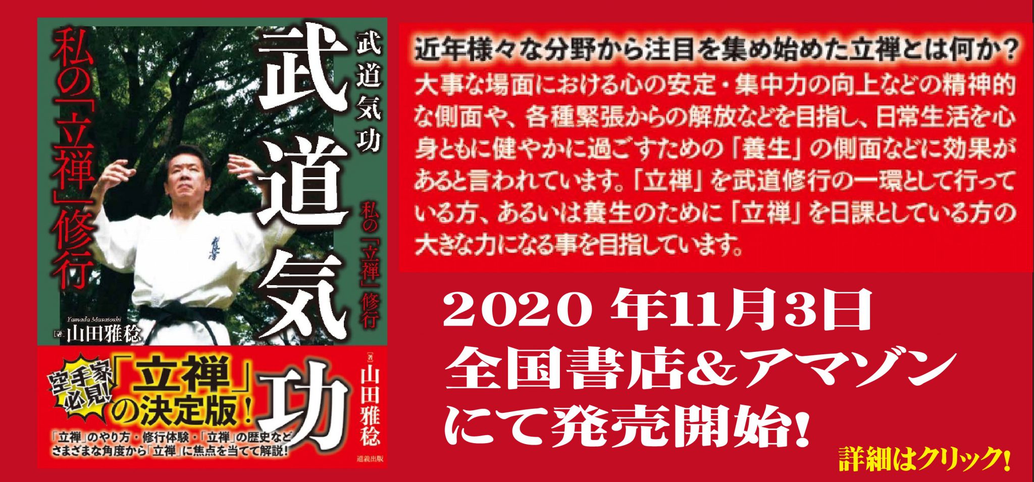 武林名門 沙家 武術大全 下巻 内家拳編